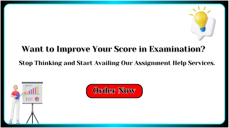Assignment Help Services - Improve your Score in Examination 